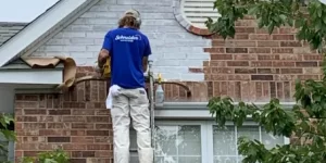 sam whitewashing