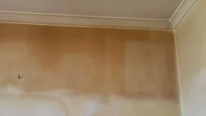 Cigarette Stains in Northwest Arkansas