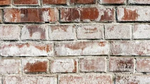 White efflorescence on an exterior brick wall