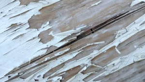 Blistered exterior paint on siding