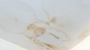 Brown water stain on a white ceiling