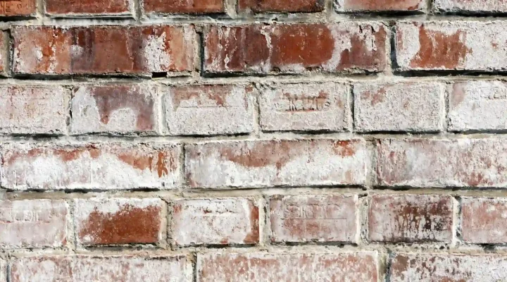 White efflorescence on an exterior brick wall