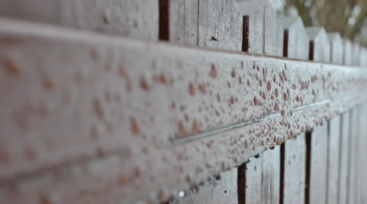 Water beading on a freshly stained wood fence