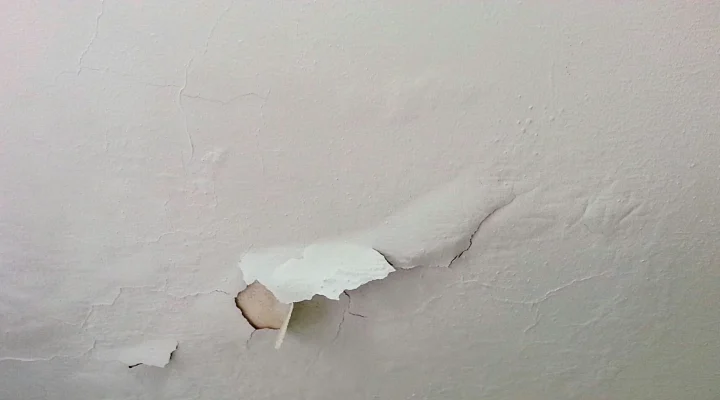 Peeling paint on a humid bathroom wall