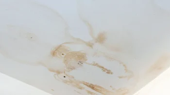 Brown water stain on a white ceiling