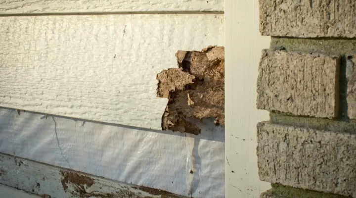 Rotted wood siding being replaced
