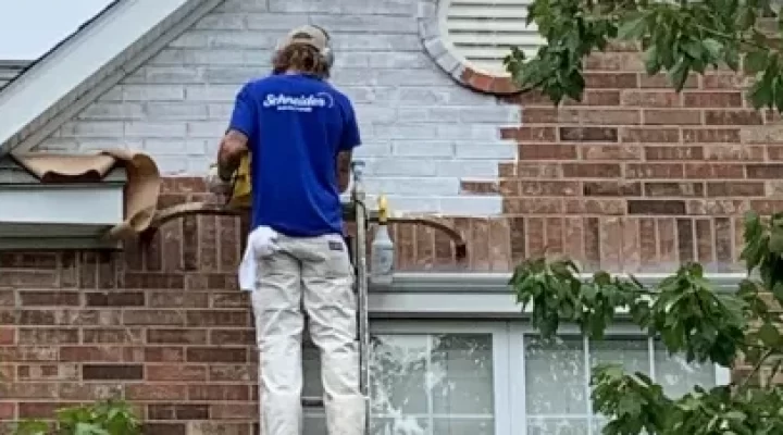 sam whitewashing
