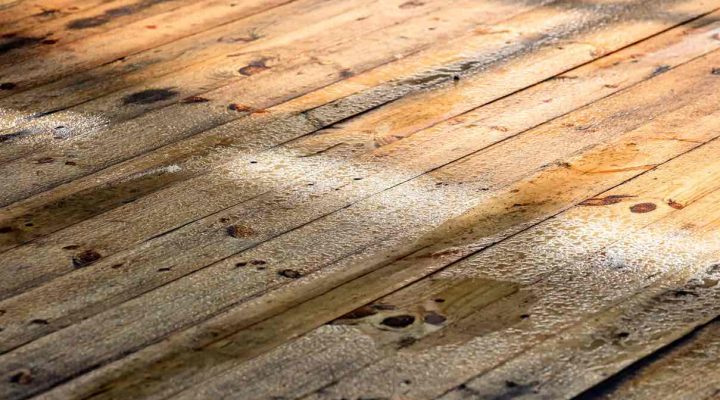 Wet wooden deck after rainfall
